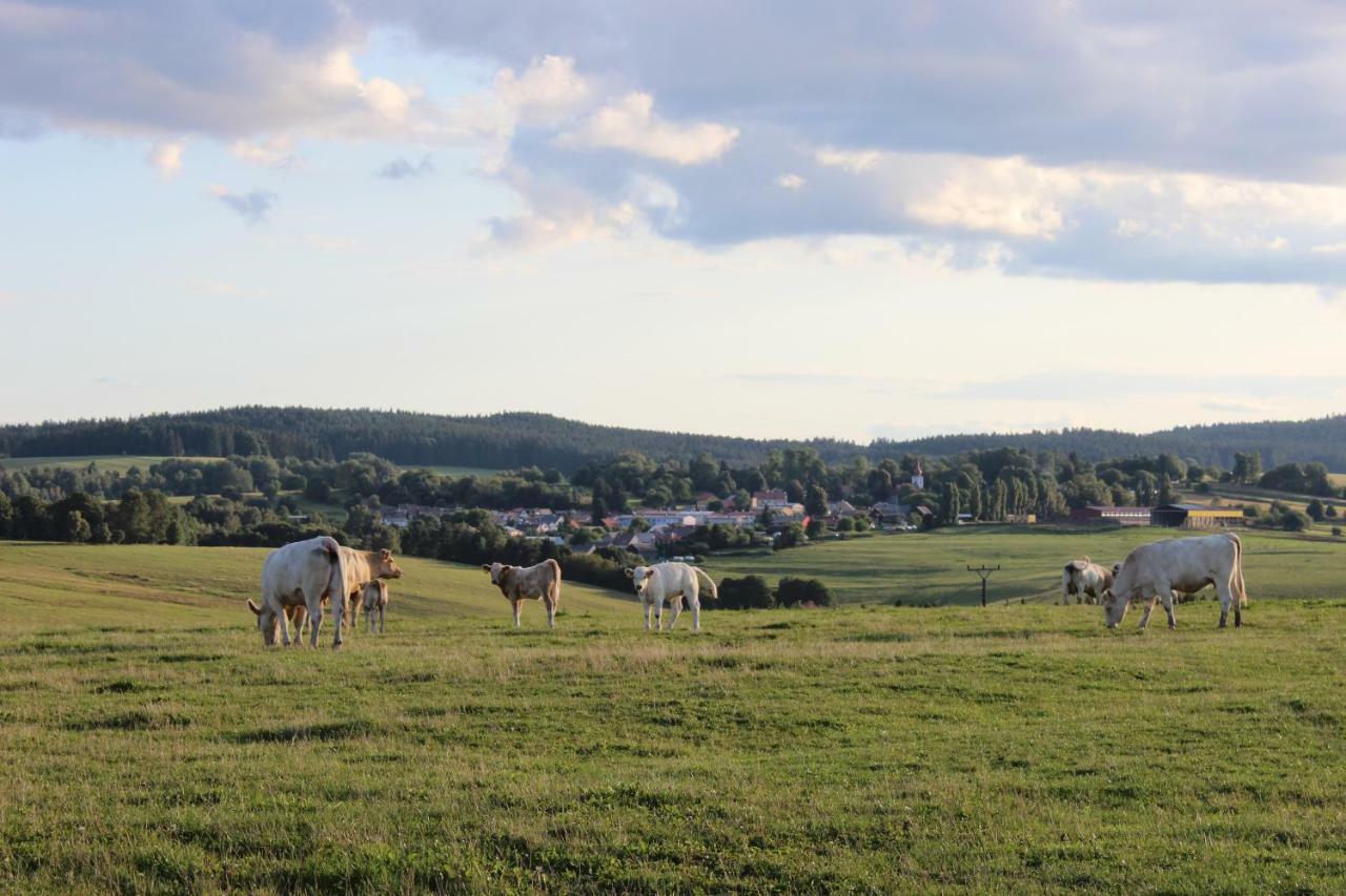 Ctyri Pokoje Tachov  Exterior photo
